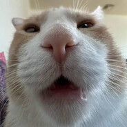 tshook's avatar