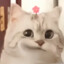 我爱打游戏