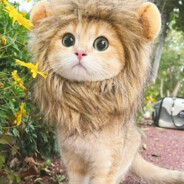 Русские твердоло