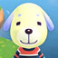 Daisy the Yellow Dog