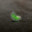 magicBean