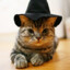 fuck this cat