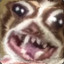 TomazEnrique