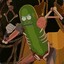 PICKLE RICK!!! ツ