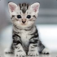 I <3 Cats