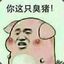 一只特立独行的cerdo