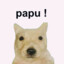 BNET