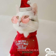 yo era gozu asta q me enomre