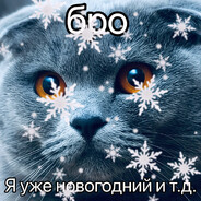 SpaceF_сталемате