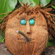 Coconut