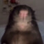 Joe