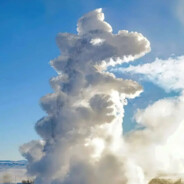 哥们儿你二臂叭