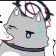 格里芬第一钢板45姐