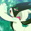 marcy
