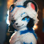 xiayu12138