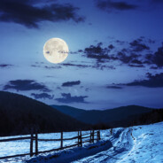 雪月书韵淡茶香