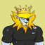 sWAgLioN