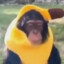 monke (REAL)