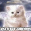 Манульчик