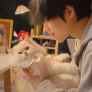 白素栩栩木槿熙