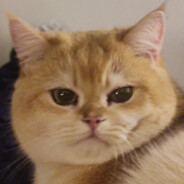 IF I WIN I WILL EZ U