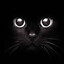 BLACKCAT