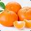 Mandarina