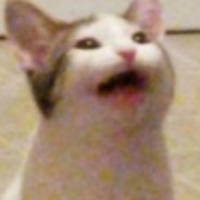 POPcat