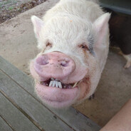 what determines the fate