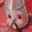 tinman