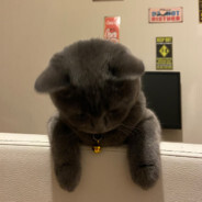 badam - steam id 76561198112400145