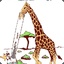 High-Giraffe