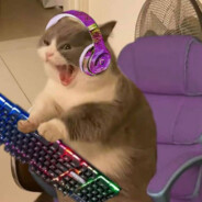 kilopik - steam id 76561199586125913