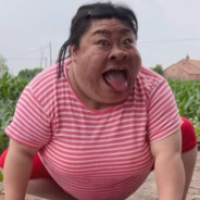 三天不打上房揭瓦