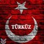 TURKISH-(SAT)