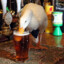 Drunken_Goose