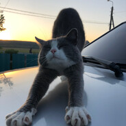 vazigat.off Steam avatar