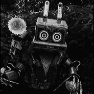 Steam Avatar
