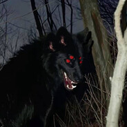 ДИКИЙФИМОЗ