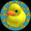 NoobeyDuck