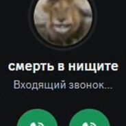 smert v neshete