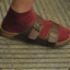 Socks and sandals