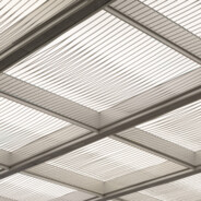 人是失败的刺猬