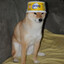 Comb_Chill