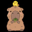 Capybara