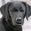 updog
