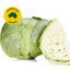 WoolWorths Cabbage