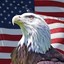 Patriotic Eagle Man