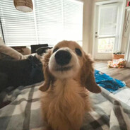 伤害女人的事我不做