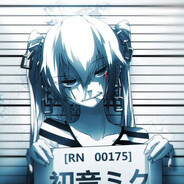 dima(caut tester server metin)